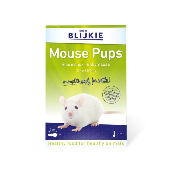 Frozen Mouse Pups (Pinkies) in blister pack 1.5g - Shopivet.com