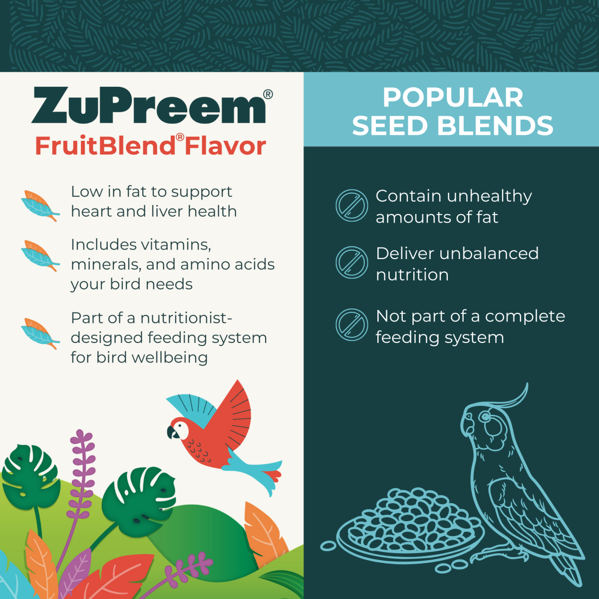 FruitBlend Flavor Medium & Large Parrot Food 10 lbs (4.54 kg)
