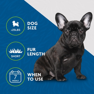 FURminator Undercoat deShedding Tool – Small Dog, Short Hair