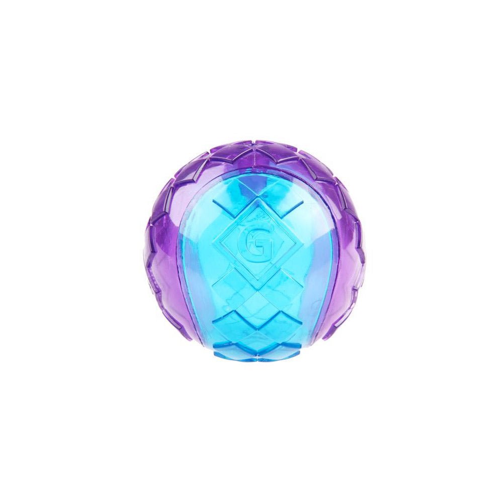 GiGwi Ball Purple/Blue Squeaker Transparent (Small) - Shopivet.com