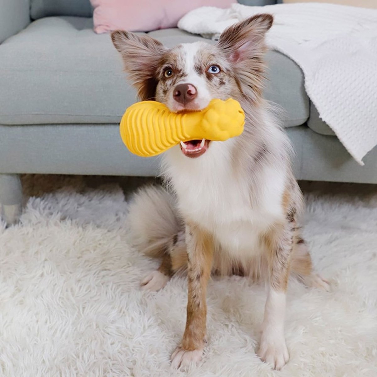 GiGwi DUMBBELL HEADS Lion – Squeak and stuffable - Shopivet.com