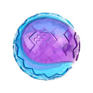 Gigwi G - Ball Purple/Blue Squeaker Transparent (Medium) - Shopivet.com