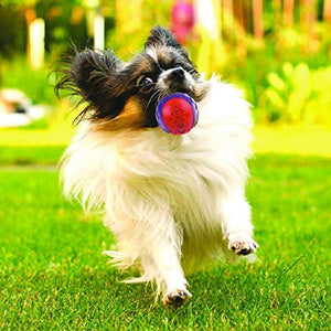 Gigwi G - Ball Purple/Blue Squeaker Transparent (Medium) - Shopivet.com