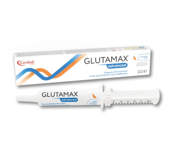 Glutamax Advanced paste - 30 ml - Shopivet.com