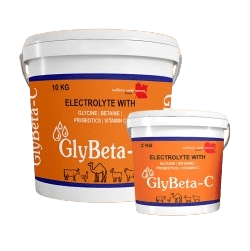 GlyBeta - C (Vitamin C with Electrolytes) 10kg - Shopivet.com