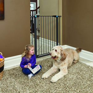 Graphite Glow in the Dark Steel Pet Gate - 39" - Shopivet.com
