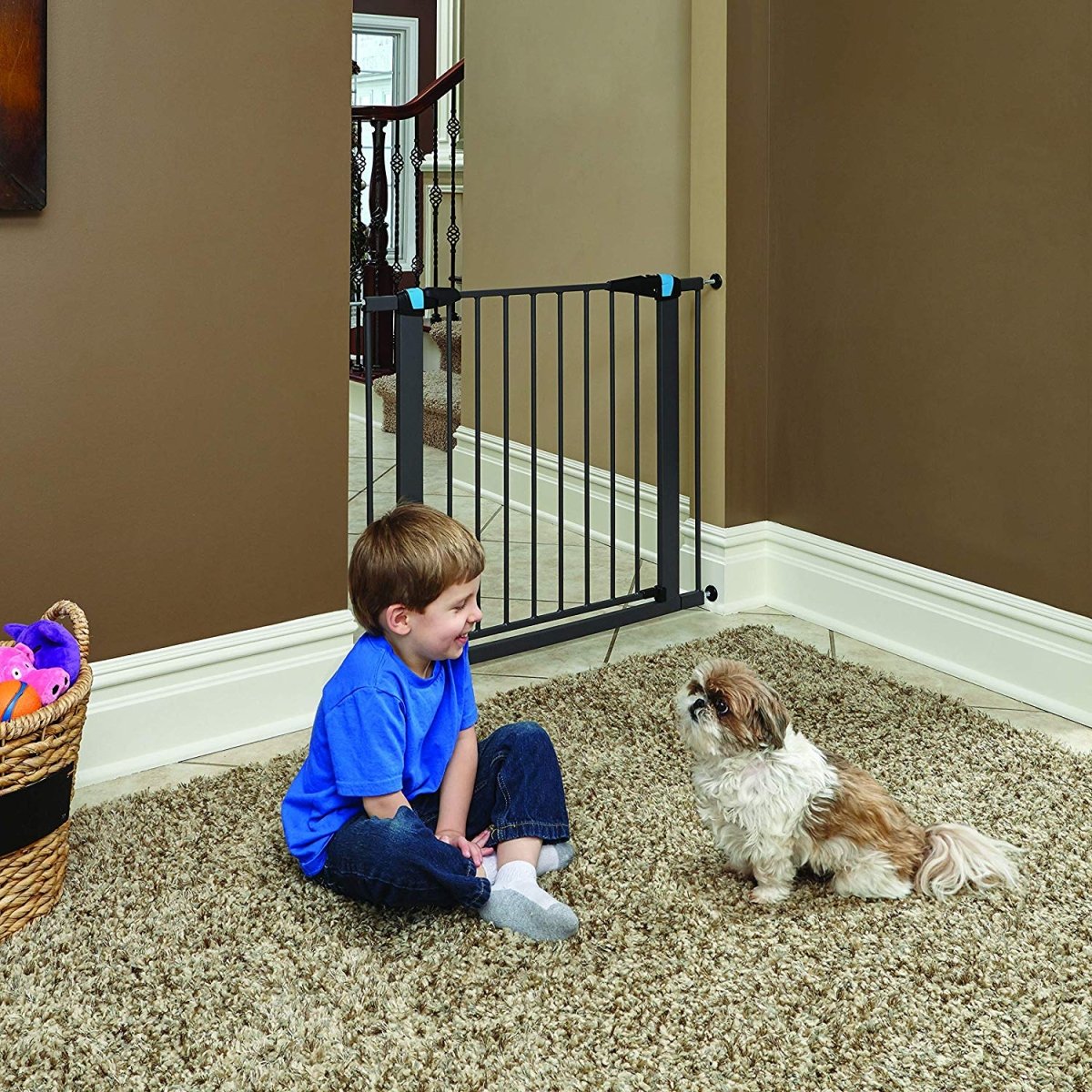 Graphite Glow in the Dark Steel Pet Gate - 39" - Shopivet.com