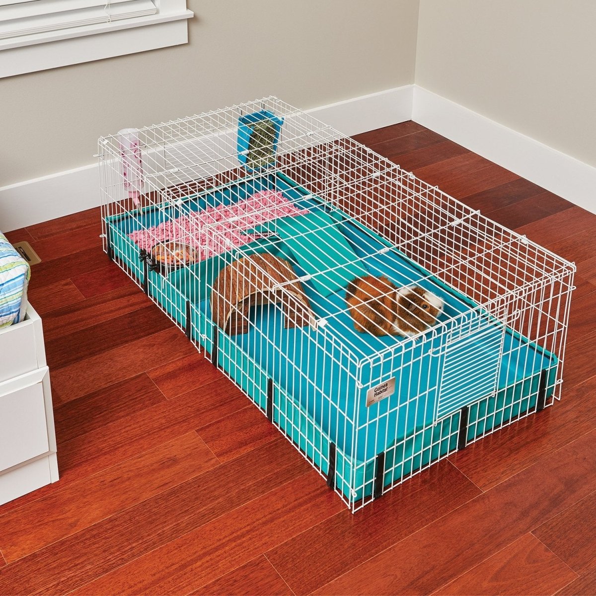 Guinea Habitat Plus - Shopivet.com