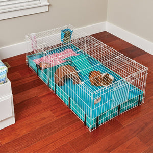 Guinea Habitat Plus - Shopivet.com
