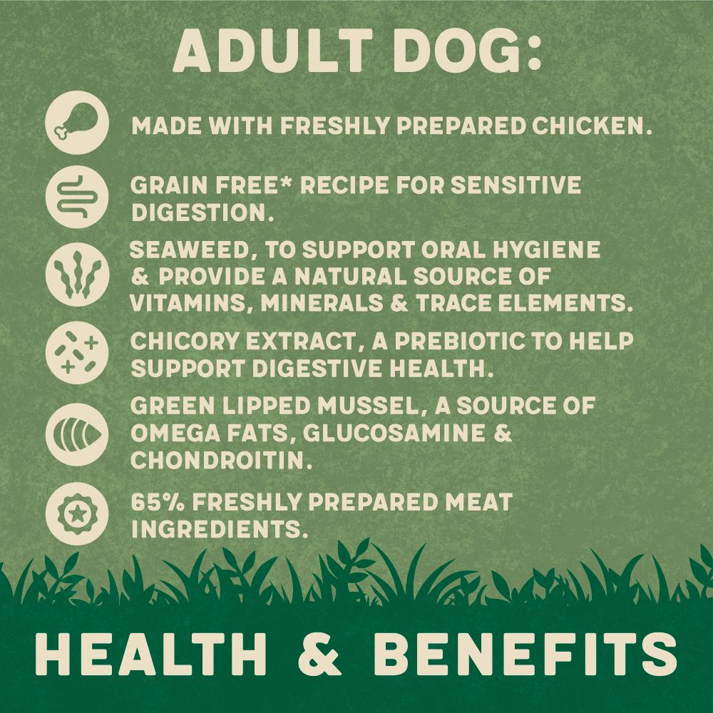 Harringtons Chicken Grain Free Adult Wet Dog Food 400g - 400G - Shopivet.com