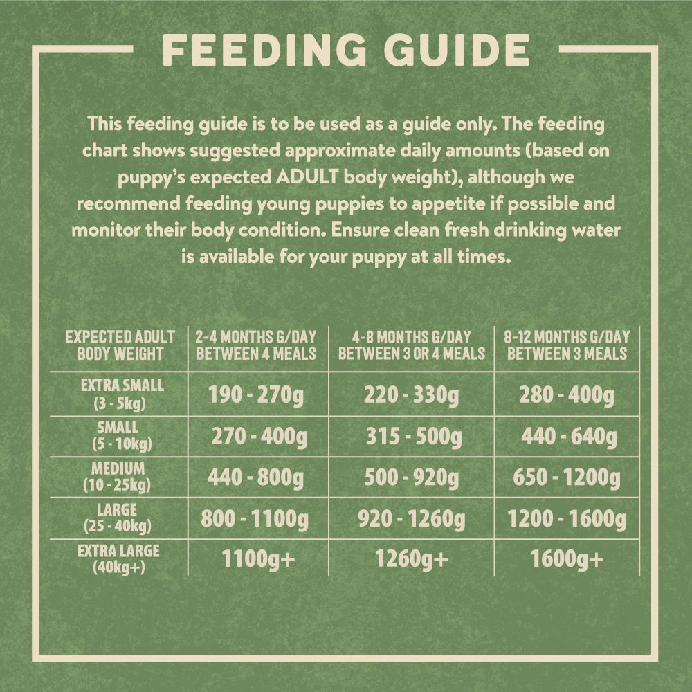 Harringtons Chicken & Potato Grain Free Wet Puppy Food 380g - 380G - Shopivet.com