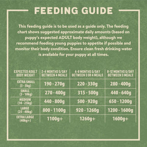 Harringtons Chicken & Potato Grain Free Wet Puppy Food 380g - 380G - Shopivet.com