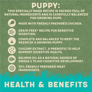 Harringtons Chicken & Potato Grain Free Wet Puppy Food 380g - 380G - Shopivet.com