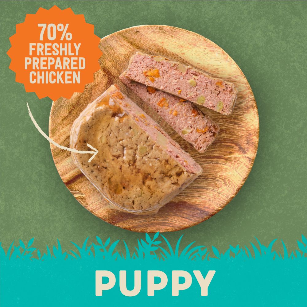 Harringtons Chicken & Potato Grain Free Wet Puppy Food 380g - 380G - Shopivet.com