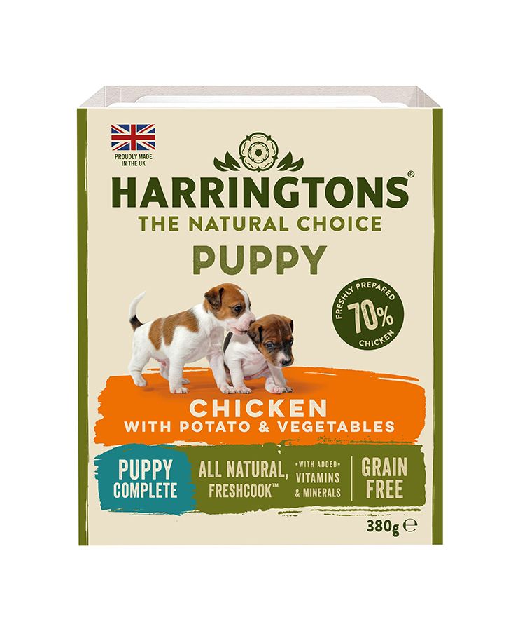 Harringtons Chicken & Potato Grain Free Wet Puppy Food 380g - 380G - Shopivet.com