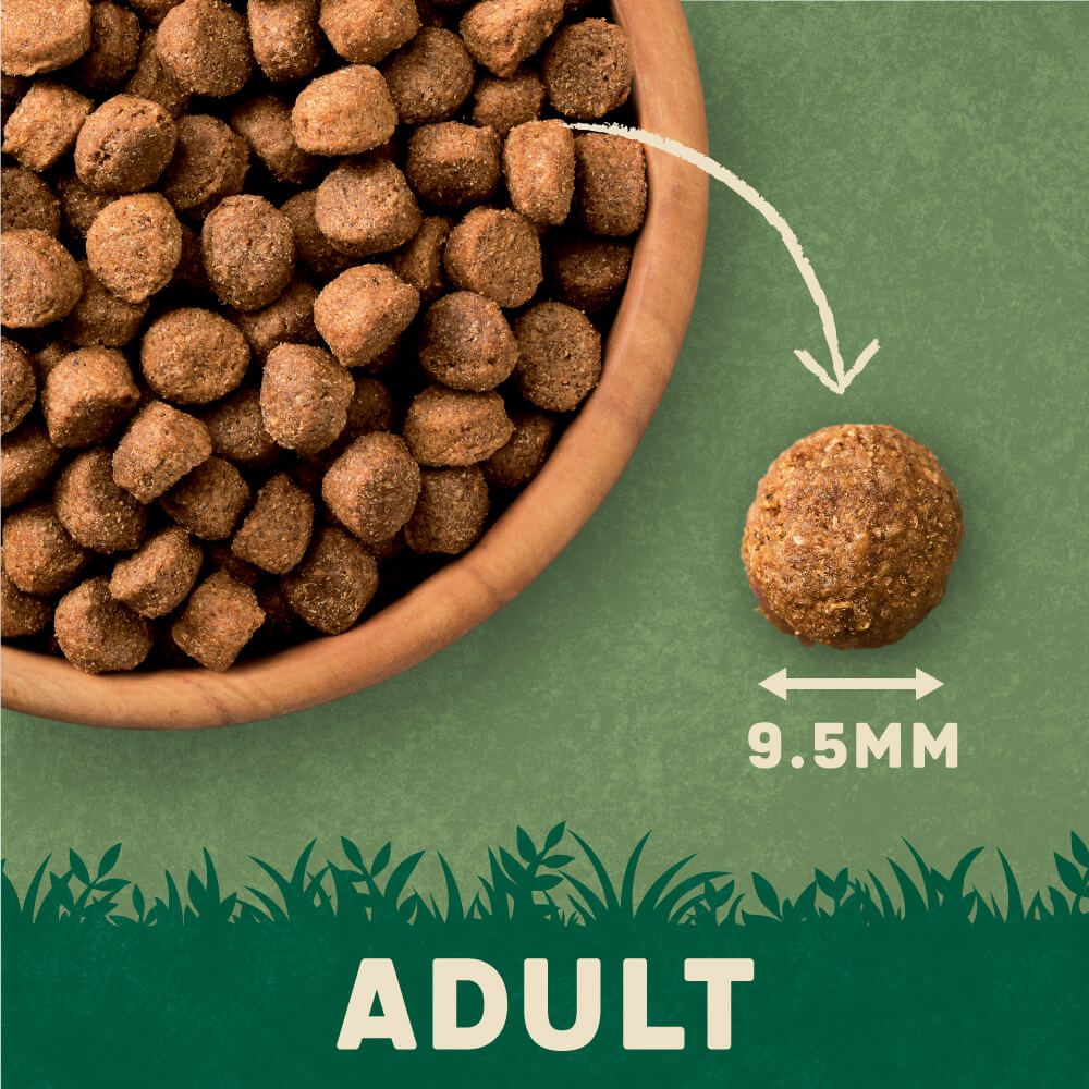 Harringtons Complete Beef Adult Dry Dog Food - 4KG - Shopivet.com