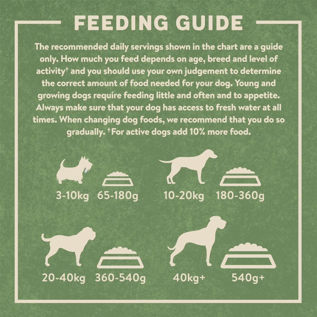 Harringtons Complete Chicken & Rice Senior Dry Dog Food 12kg - 12kg - Shopivet.com