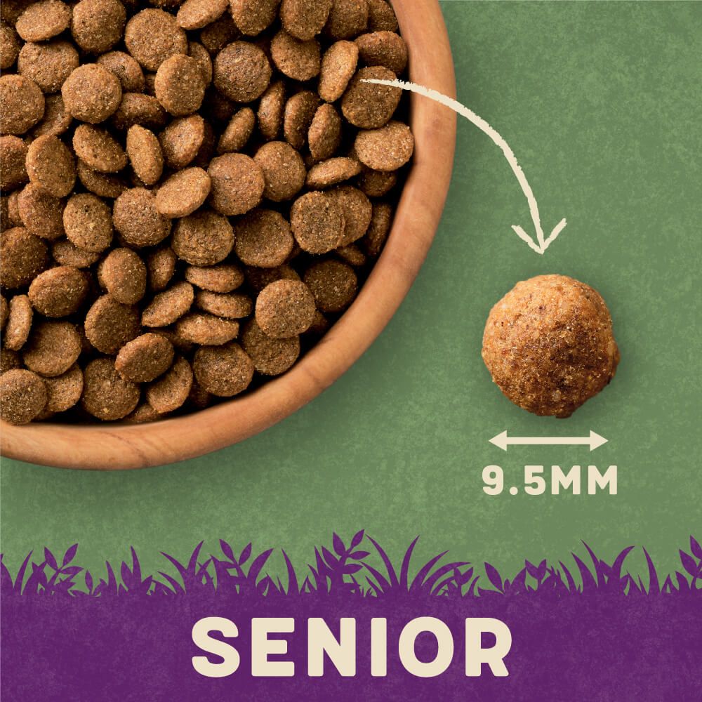 Harringtons Complete Chicken & Rice Senior Dry Dog Food 12kg - 12kg - Shopivet.com
