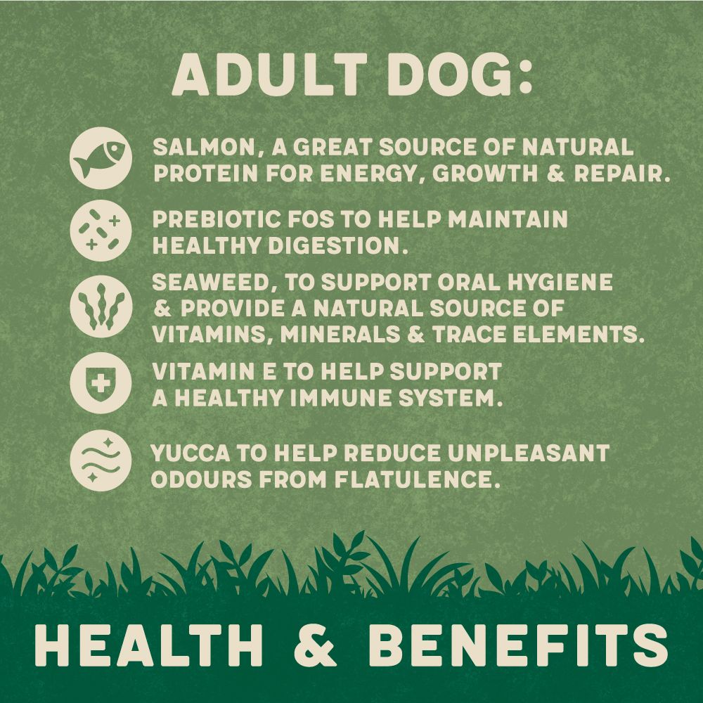 Harringtons Complete Salmon & Potato Adult Dry Dog Food - 12kg - Shopivet.com
