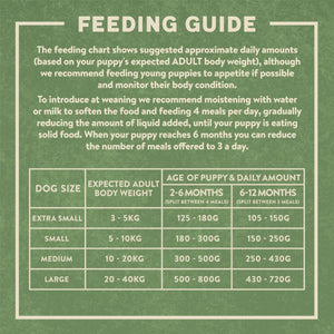 Harringtons Complete Turkey & Rice Dry Puppy Food - 1.7kg - Shopivet.com