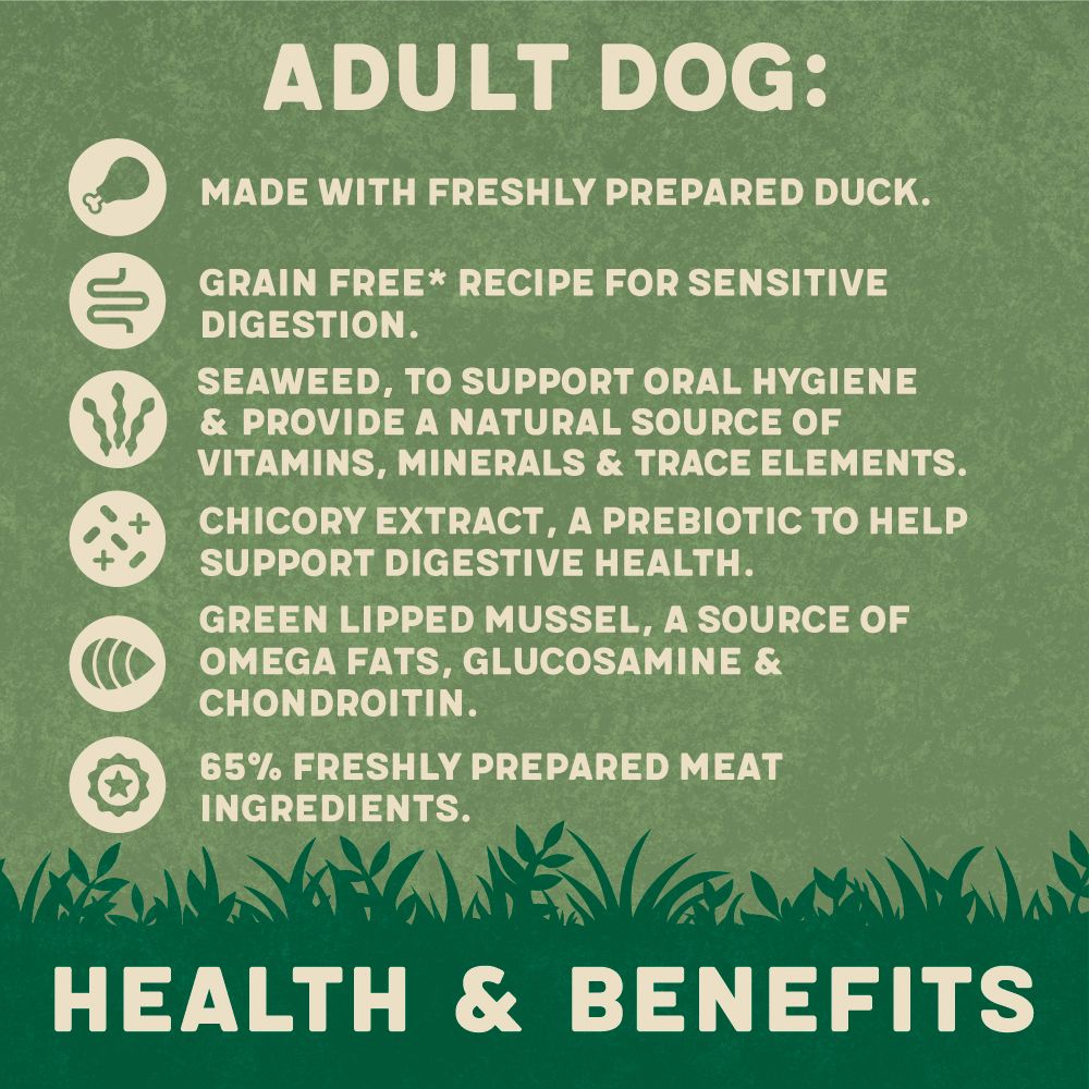 Harringtons Duck Grain Free Adult Wet Dog Food 400g - 400G - Shopivet.com
