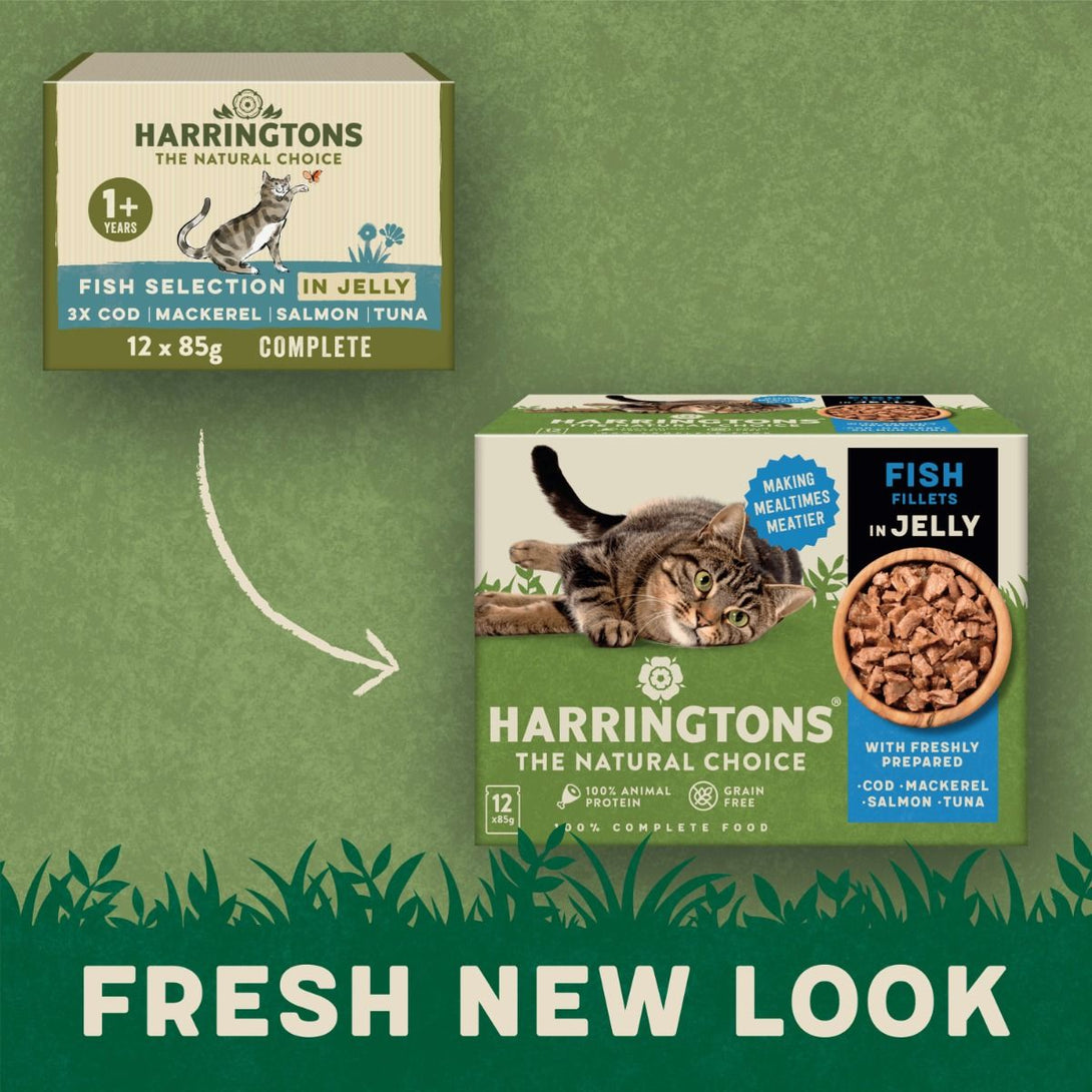 Harringtons Fish in Jelly Wet Cat Food Multipack - Shopivet.com