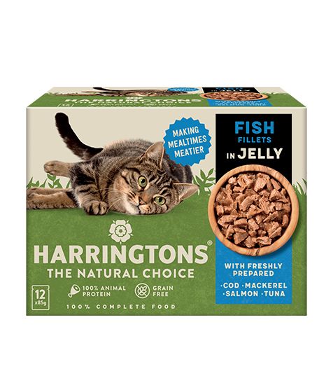 Harringtons Fish in Jelly Wet Cat Food Multipack - Shopivet.com