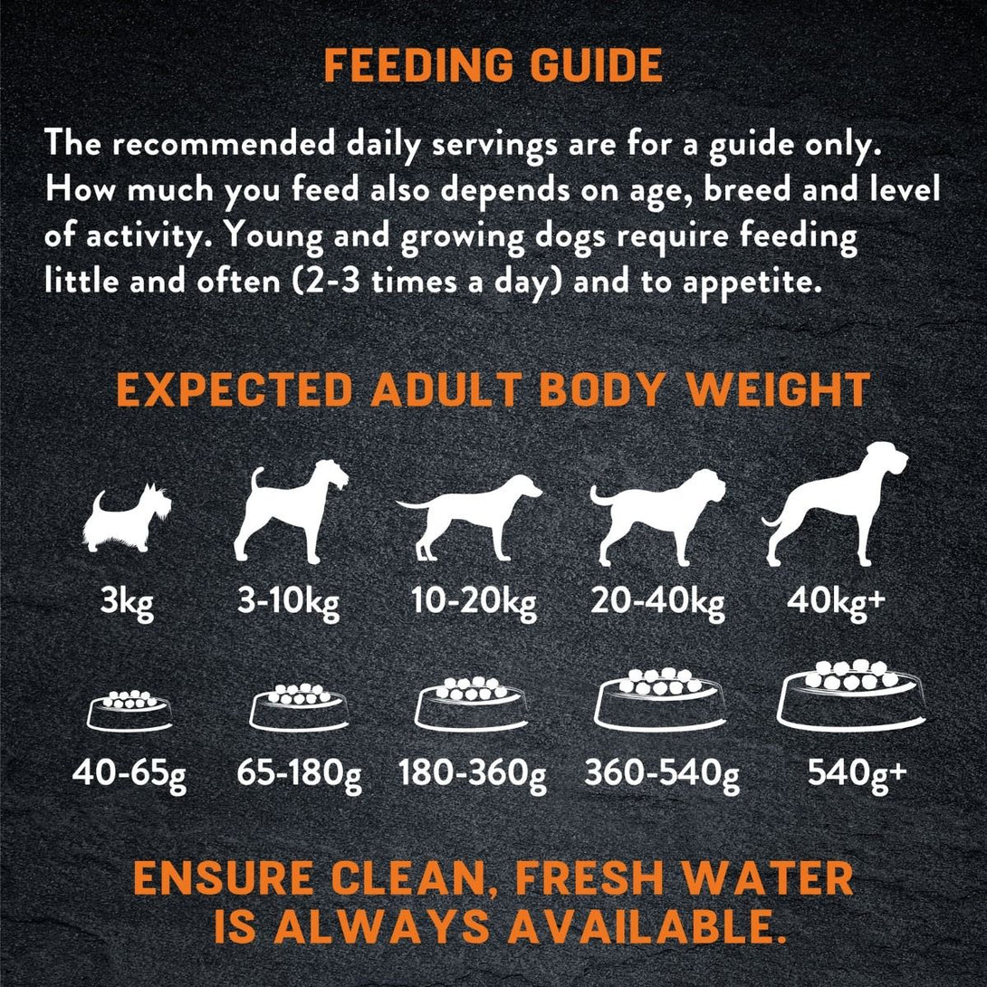 Harringtons Just 6 Chicken Grain Free Adult Dry Dog Food - 12KG - Shopivet.com