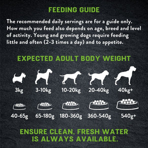 Harringtons Just 6 Lamb Grain Free Adult Dry Dog Food - 2KG - Shopivet.com