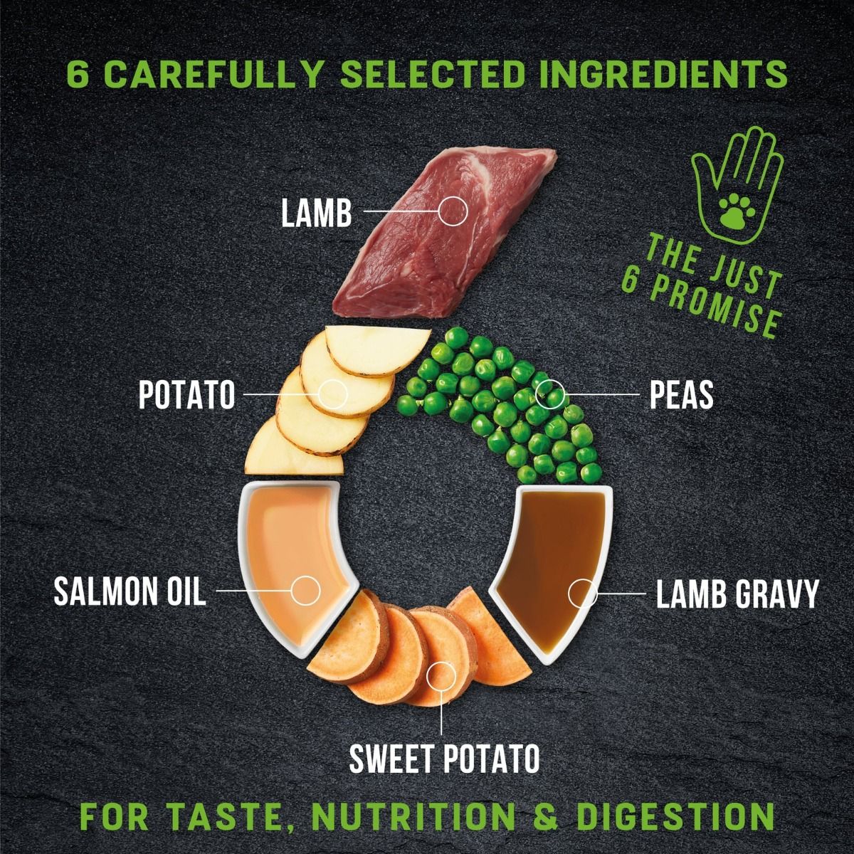 Harringtons Just 6 Lamb Grain Free Adult Wet Dog Food 380g - 380G - Shopivet.com