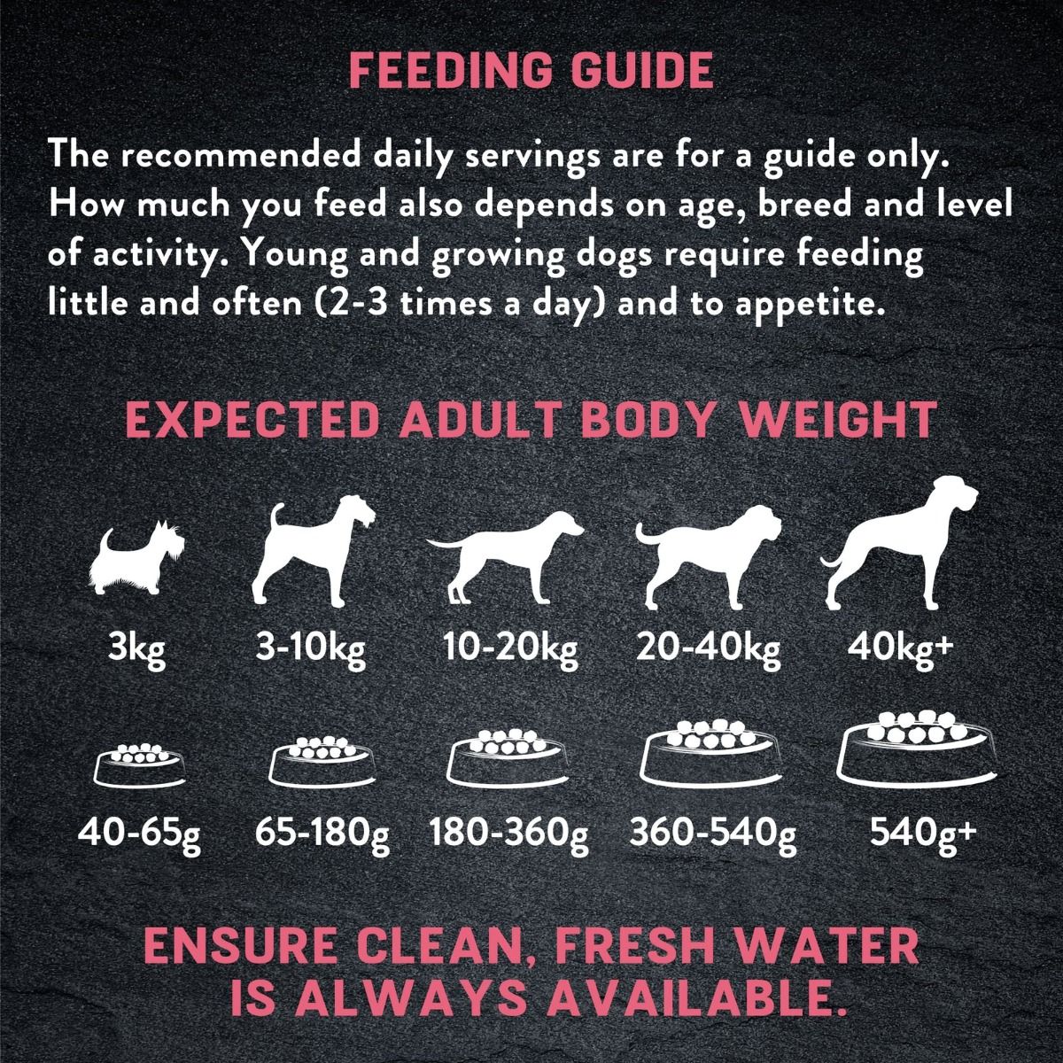 Harringtons Just 6 Salmon Grain Free Adult Dry Dog Food - 12KG - Shopivet.com