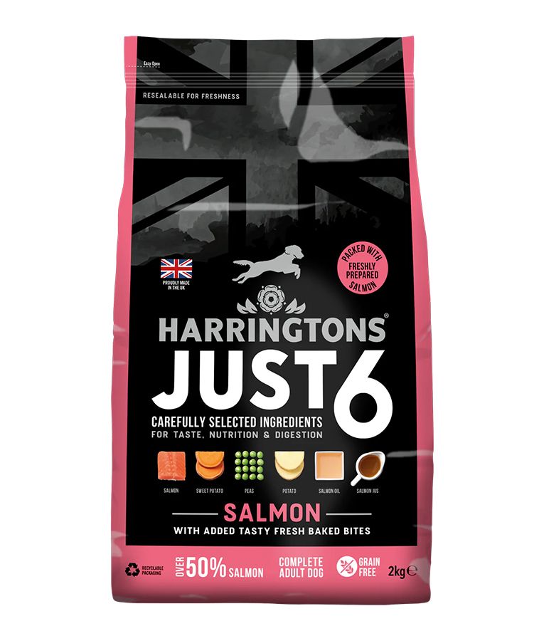 Harringtons Just 6 Salmon Grain Free Adult Dry Dog Food - 12KG - Shopivet.com
