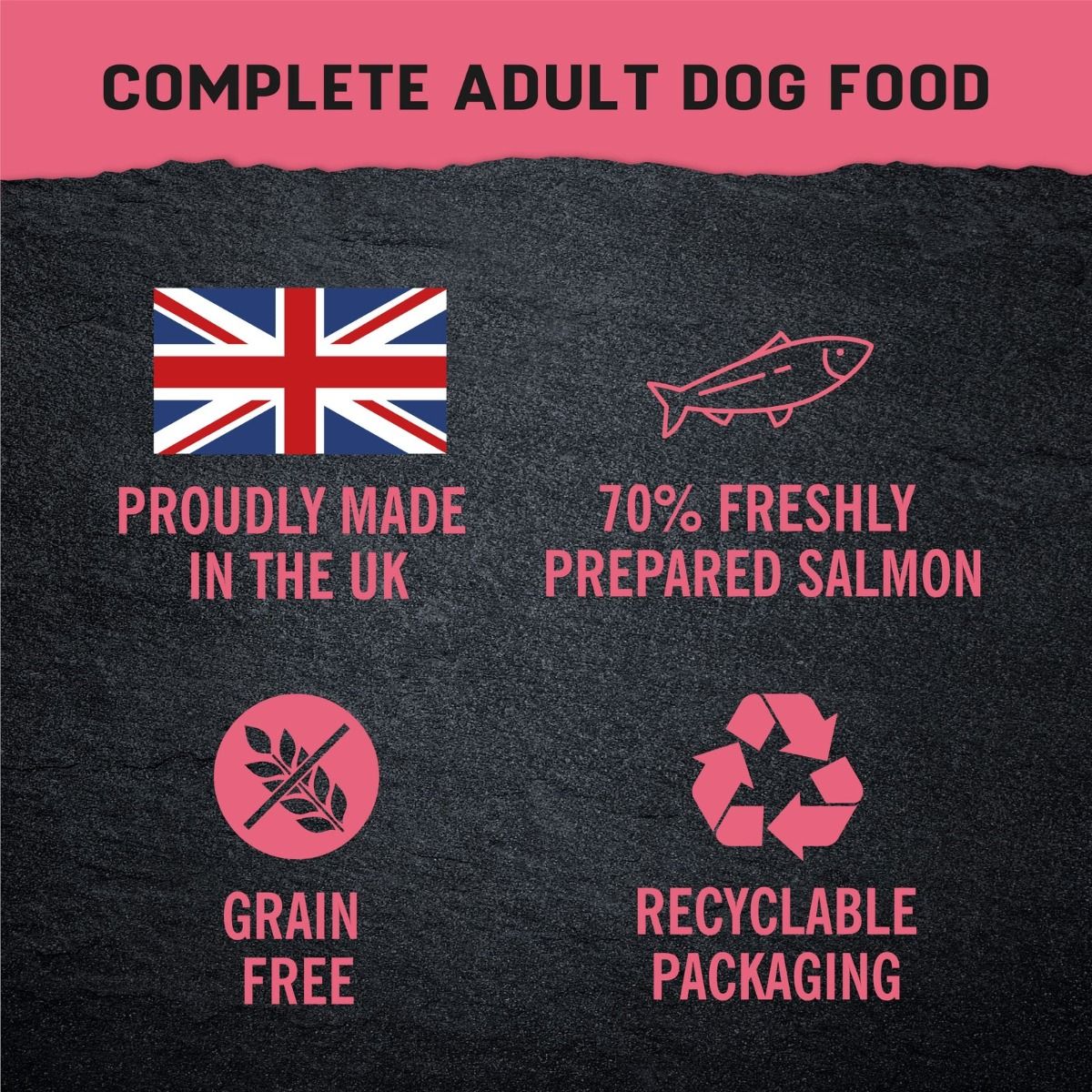 Harringtons Just 6 Salmon Grain Free Adult Wet Dog Food 380g - 380G - Shopivet.com