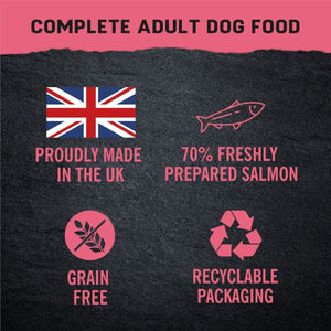 Harringtons Just 6 Salmon Grain Free Adult Wet Dog Food 380g - 380G - Shopivet.com