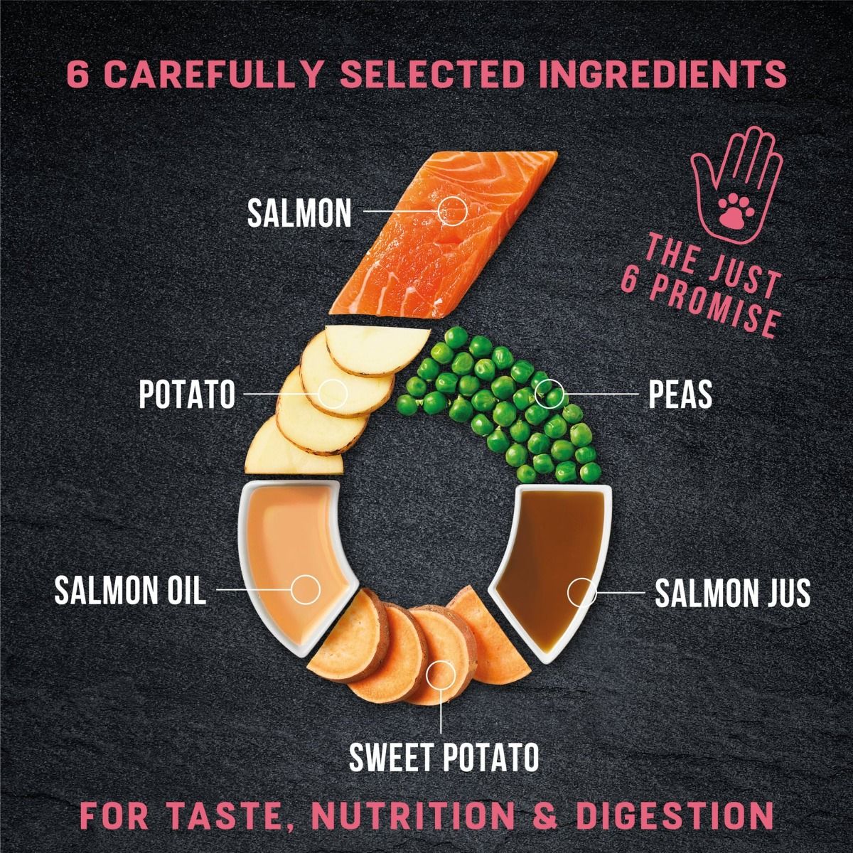 Harringtons Just 6 Salmon Grain Free Adult Wet Dog Food 380g - 380G - Shopivet.com