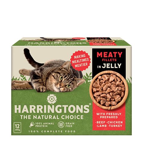 Harringtons Meat in Jelly Wet Cat Food Multipack - Shopivet.com