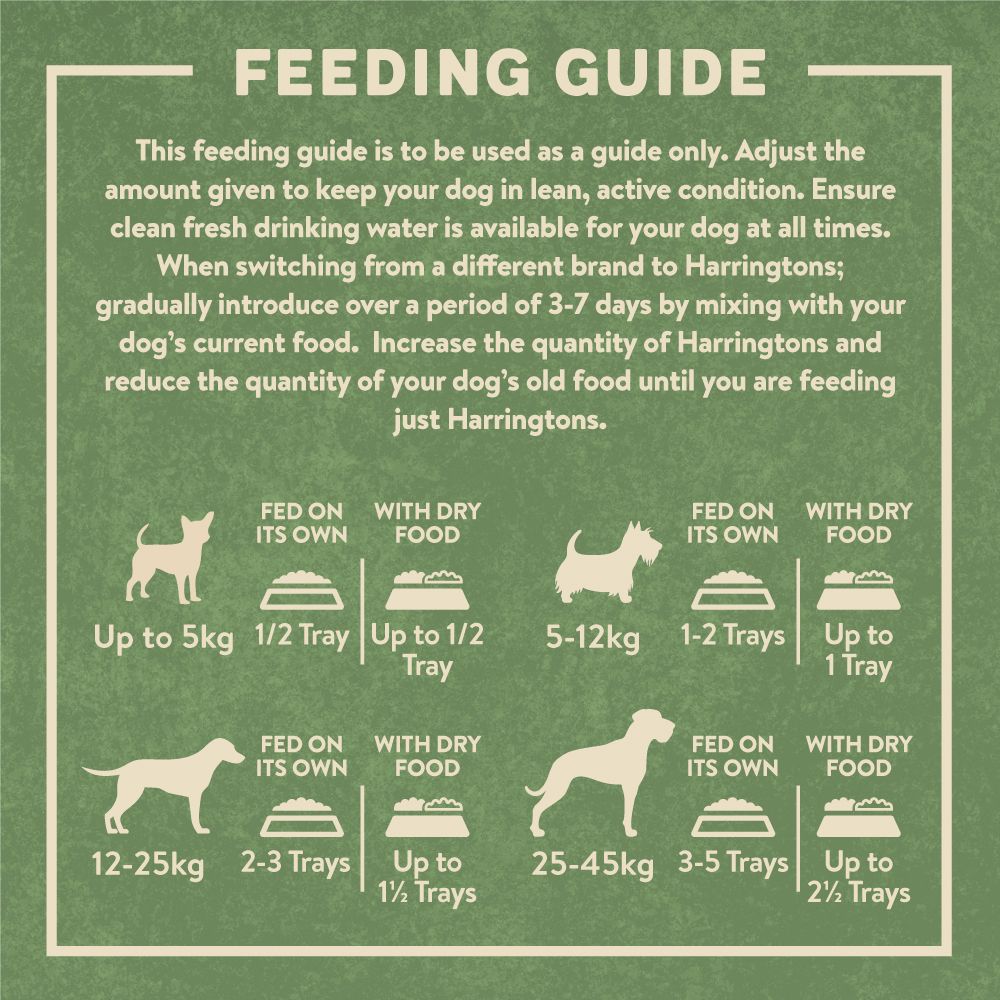 Harringtons Salmon Grain Free Adult Wet Dog Food 400g - 400G - Shopivet.com
