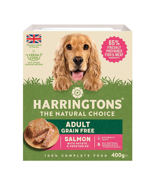 Harringtons Salmon Grain Free Adult Wet Dog Food 400g - 400G - Shopivet.com