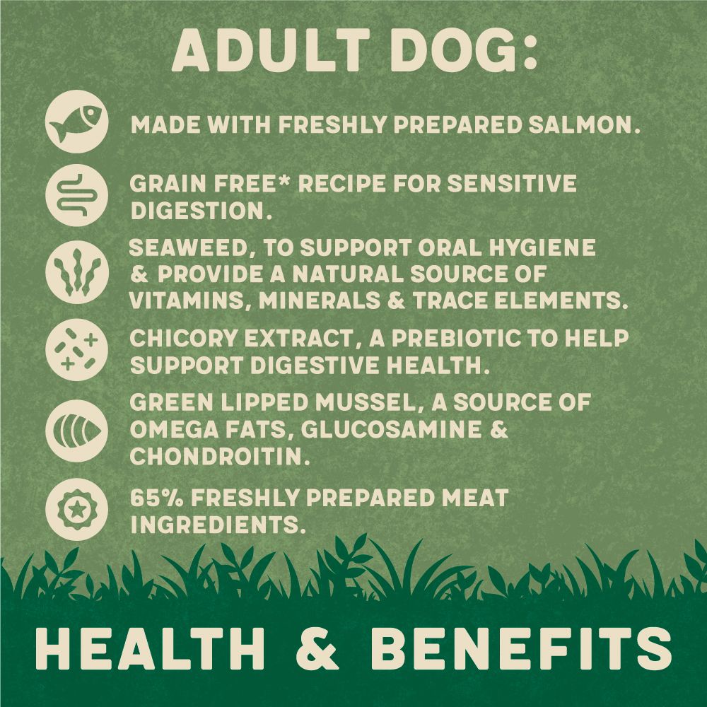 Harringtons Salmon Grain Free Adult Wet Dog Food 400g - 400G - Shopivet.com