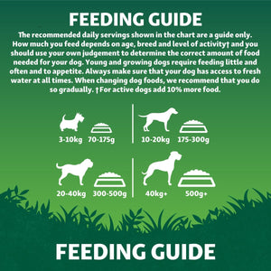 Harringtons Superfoods Chicken with Vegetables Adult Dry Dog Food - 12kg - Shopivet.com