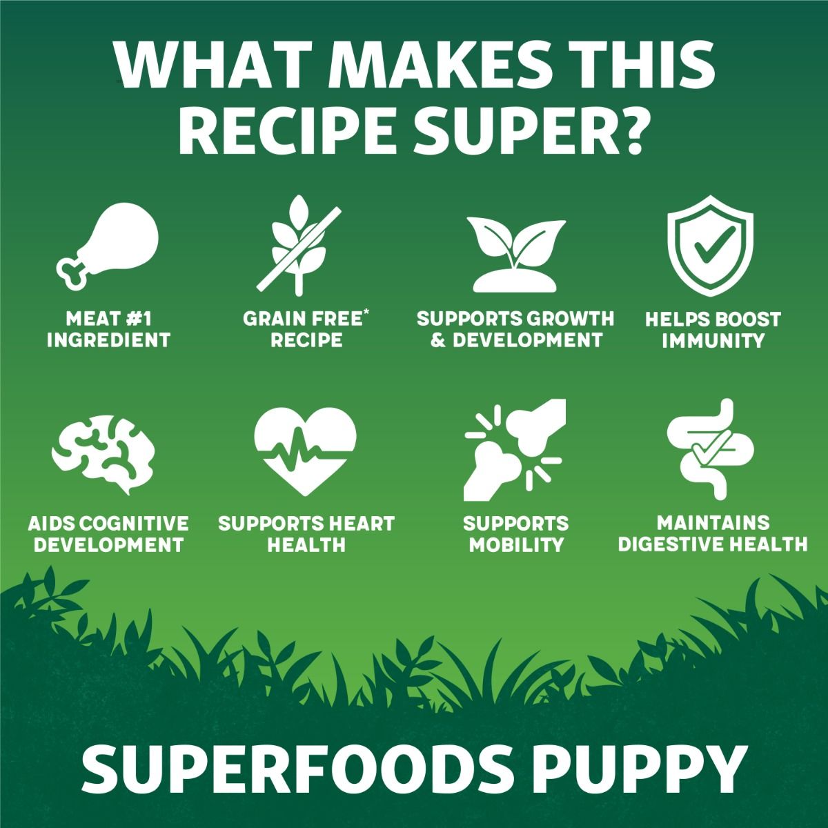 Harringtons Superfoods Chicken with Vegetables Puppy Dry Dog Food - 10kg - Shopivet.com