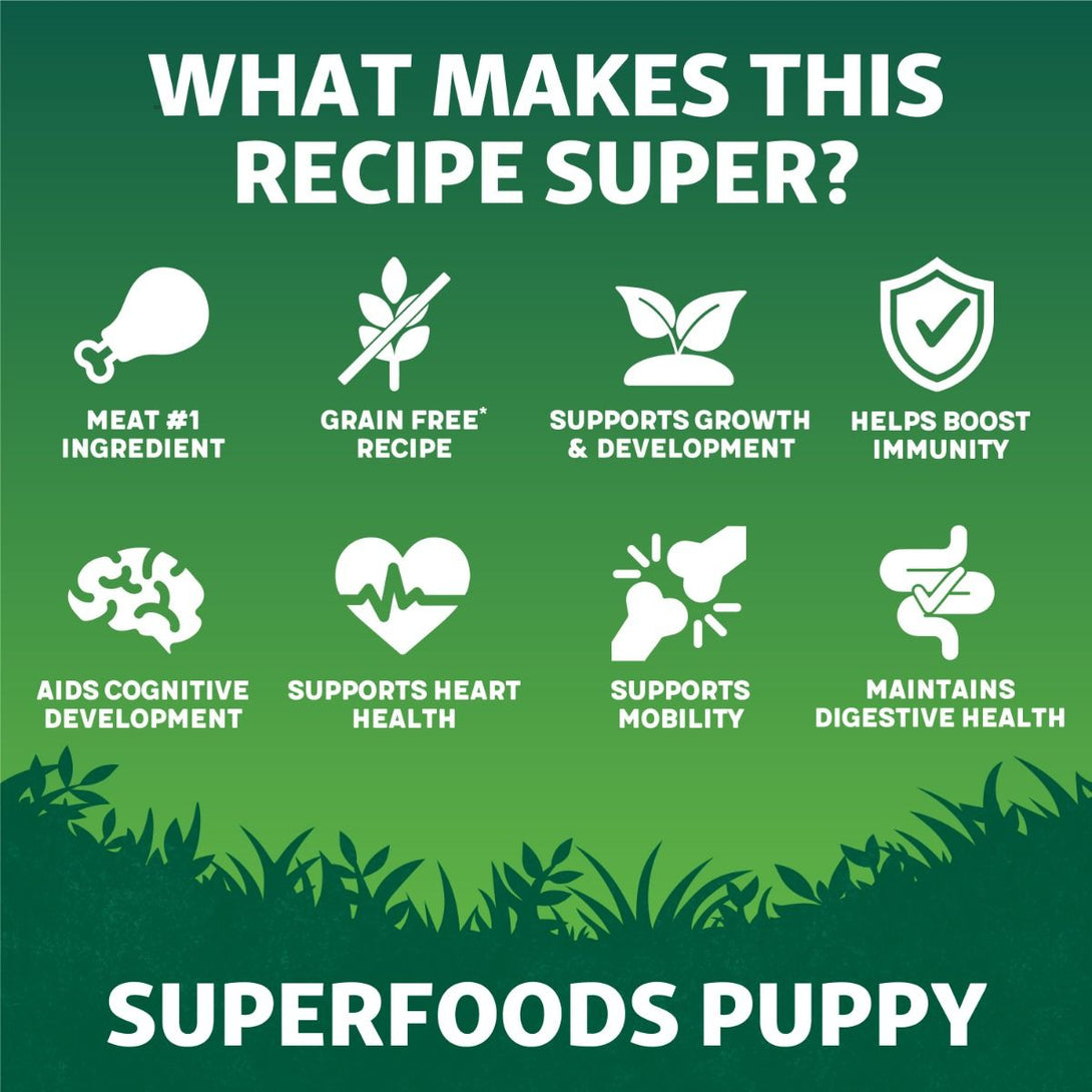 Harringtons Superfoods Chicken with Vegetables Puppy Dry Dog Food - 1.7kg - Shopivet.com