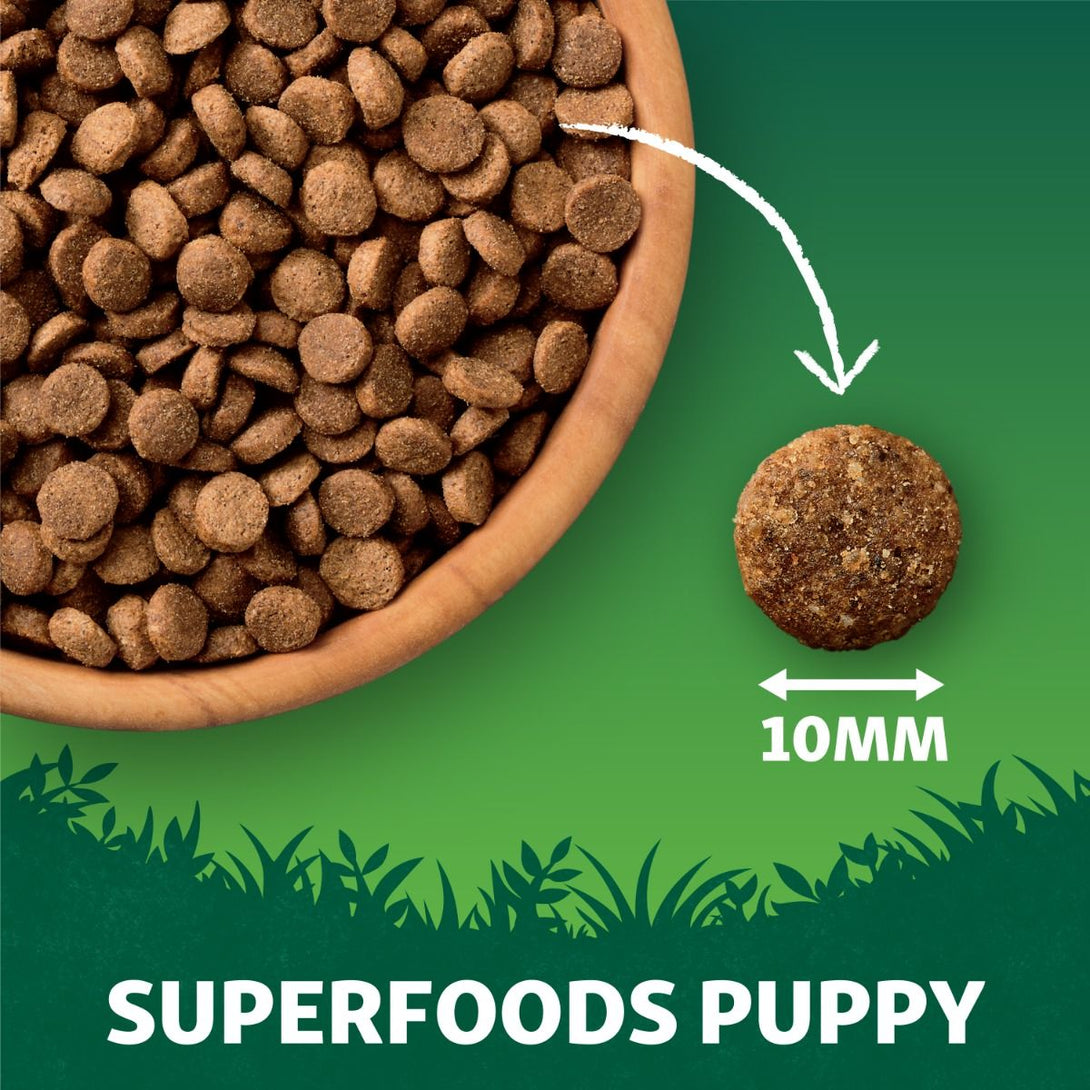 Harringtons Superfoods Chicken with Vegetables Puppy Dry Dog Food - 1.7kg - Shopivet.com