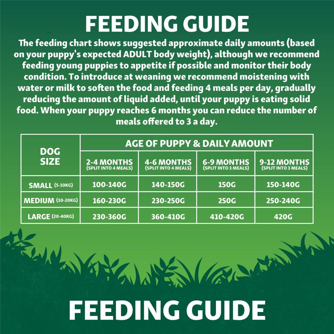 Harringtons Superfoods Chicken with Vegetables Puppy Dry Dog Food - 1.7kg - Shopivet.com