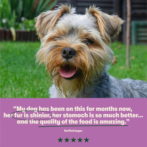 Harringtons Grain Free Meaty Selection Wet Dog Food 6 x 400g