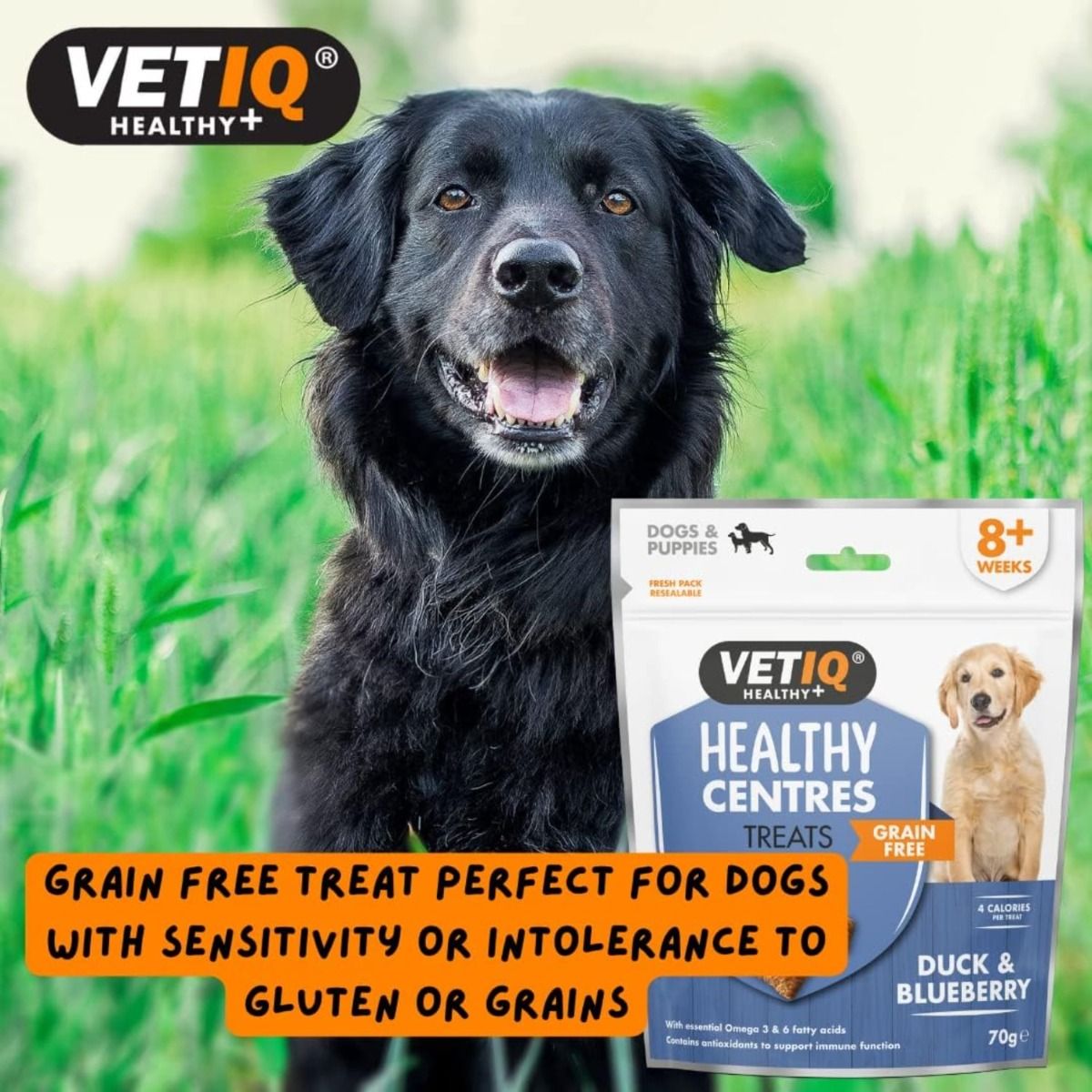 VetIQ Healthy Centres Duck & Blueberry Dog Treats - 70g