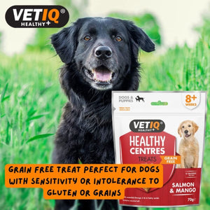 VetIQ Healthy Centres Salmon & Mango Dog Treats 70g - 70g