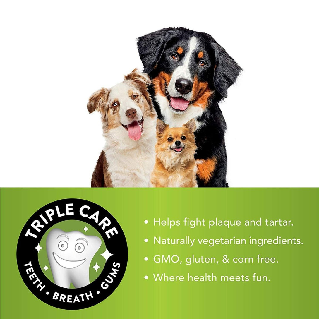 Hedgehog XL Mix Brown / Green / Orange (3pcs) - Shopivet.com