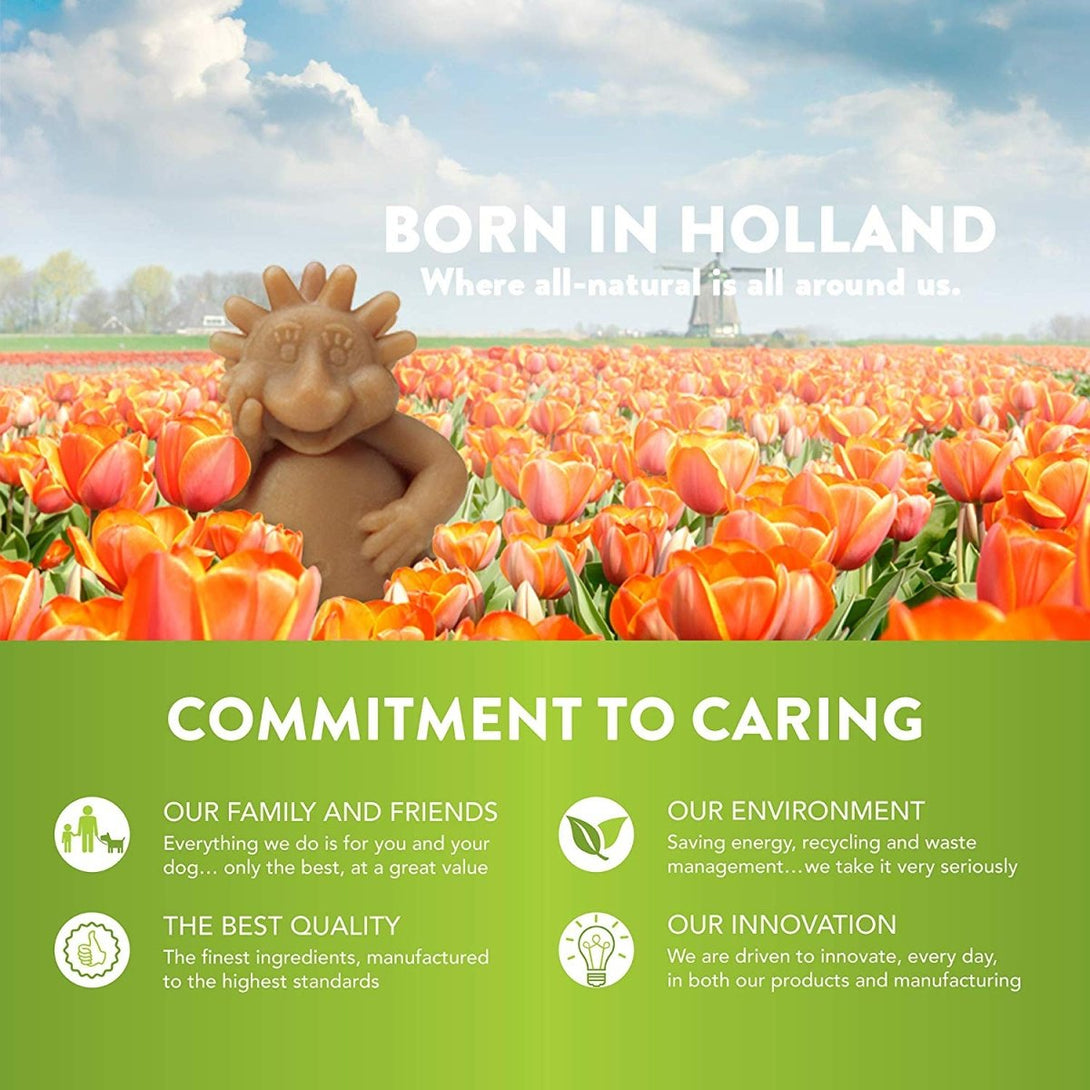 Hedgehog XL Mix Brown / Green / Orange (3pcs) - Shopivet.com