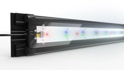 HeliaLux Spectrum 1000 - Shopivet.com